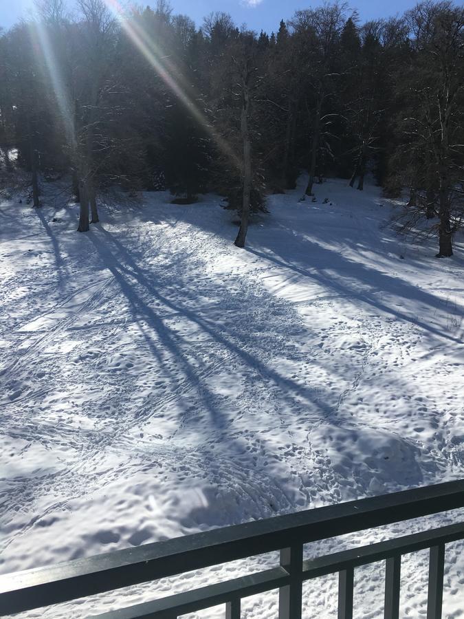 Bakuriani Area Park Daire Dış mekan fotoğraf